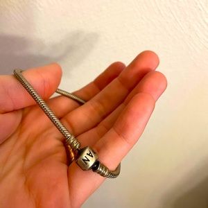 Pandora Bracelet